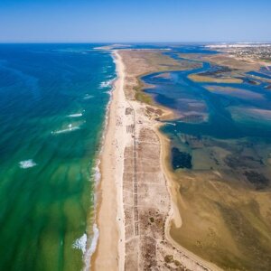 Boat Trips in Ria Formosa