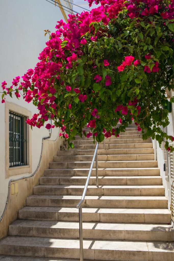 Albufeira Old Town Albufeira Old Town