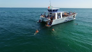 Ocean Quest catamaran