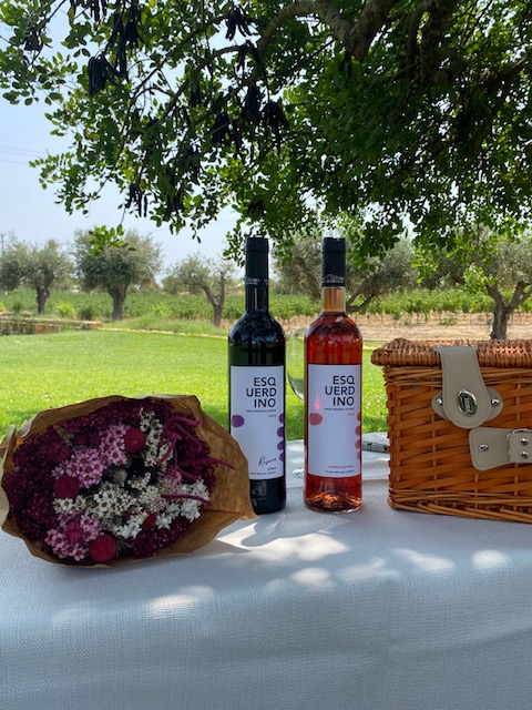 vilamoura wine tasting tours