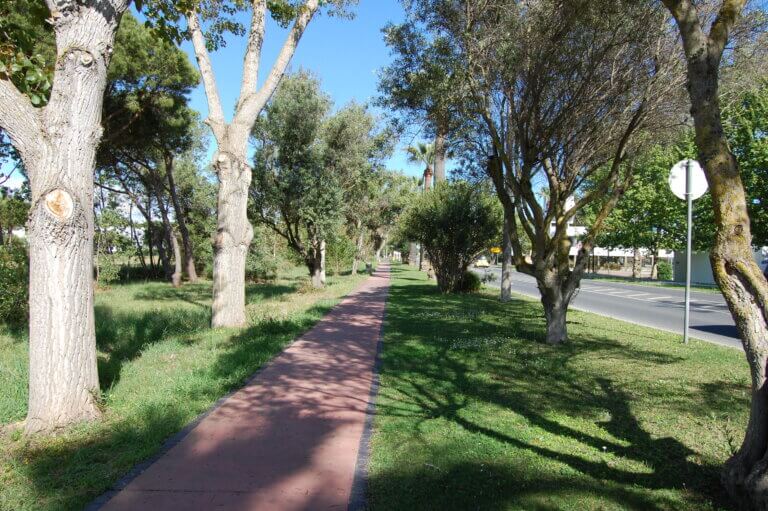 cycling in vilamoura