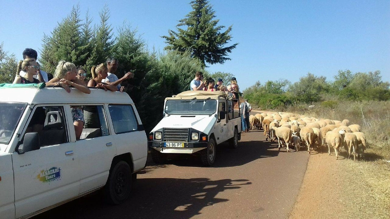 Vilamoura Jeep Safari Half Day Vilamoura Jeep Safari Half Day