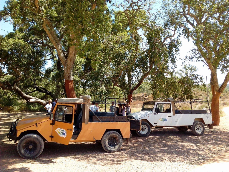 Jeep Safari Full Day with Lunch