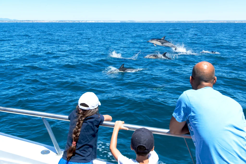 Dolphins swimming near a catamaran tour in the Algarve