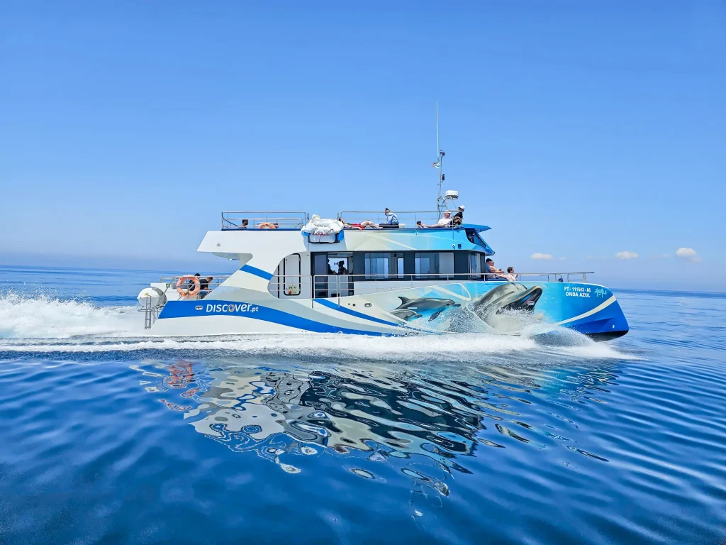 Vilamoura Dolphin & Benagil Cave Tour | 2026 Guide & Booking Dolphin watching catamaran boat in Vilamoura